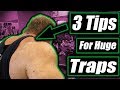 3 tips to get Huge Monster Traps