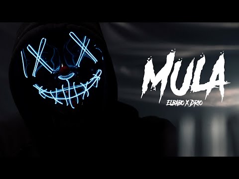 ELBABO FT. DRIO - MULA (Offizielles Video) 4K