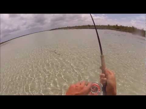 Bahamas Bonefishing