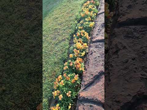 #flowers #floraldesign #morning #park