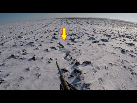 ШОК!!! СТОЛЬКО ЗАЙЦЕВ Я НЕ ПОДНИМАЛ! ПЕРВЫЙ СНЕГ! 5:0. The hunting of the hare.