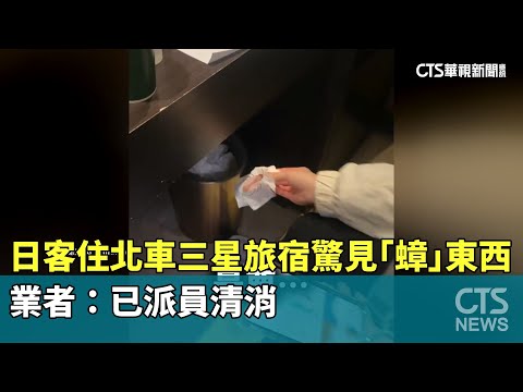 日客住北車三星旅宿驚見「蟑」東西！　業者：已派員清消