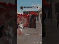 Free Fire Superstar Rajinikanth Whatsapp Status In Tamil Plzz Support Me
