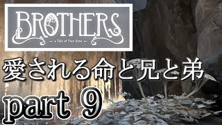 【Brothers】一人二役で仲良し兄弟を演じてみた【part9】