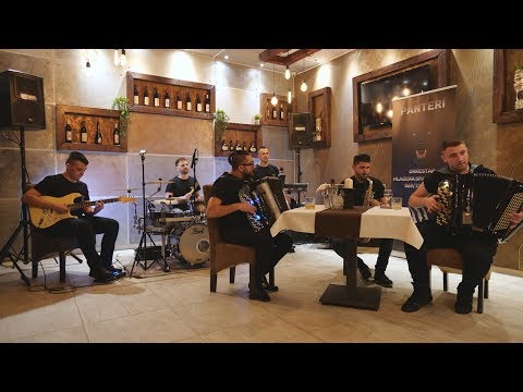 Orkestar Mladena Spasojevica & PANTERI - KOLO 1 - LIVE