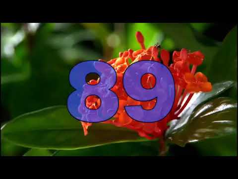 Ultimatium 3 V1 Scores