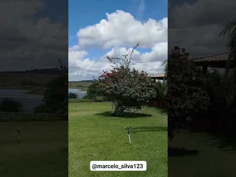 Cabaceira do Paraguaçu ba