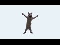 Cats The Living Tombstone Sped Up 1 Hour
