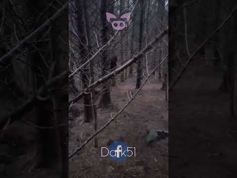 SCARY CREATURE Caught on Camera? #Shorts 👹📷