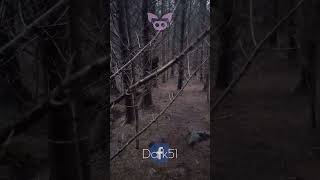 Download lagu SCARY CREATURE Caught on Camera? #Shorts 👹📷 mp3 Download lagu SCARY CREATURE Caught on Camera? #Shorts 👹📷 mp3