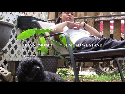 Video thumbnail v8bxt1fwLOY