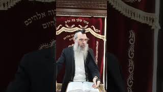 שאגת אריה | הרב אלחנן לבהר שליט״א