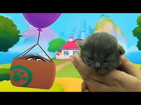 My Talking Tom Baby in real life. DIY