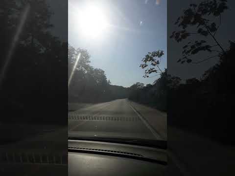 Indo pra Cananéia - São Paulo #short