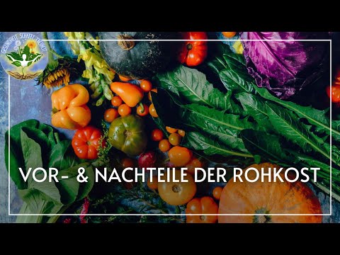 Vor und Nachteile in der Rohkost - meine Erfahrungen