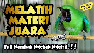 Download lagu 99,9% Cepat masuk ! MASTERAN CUCAK HIJAU FULL ISIAN TEMBAKAN MEWAH‼️ mp3 Download lagu 99,9% Cepat masuk ! MASTERAN CUCAK HIJAU FULL ISIAN TEMBAKAN MEWAH‼️ mp3