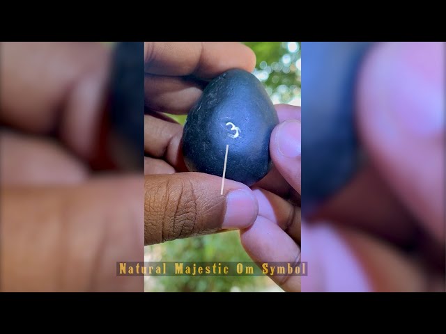 Ekakshi Shubh Laxmi Sacred Shaligram Shila for Prosperity & Good Luck video
