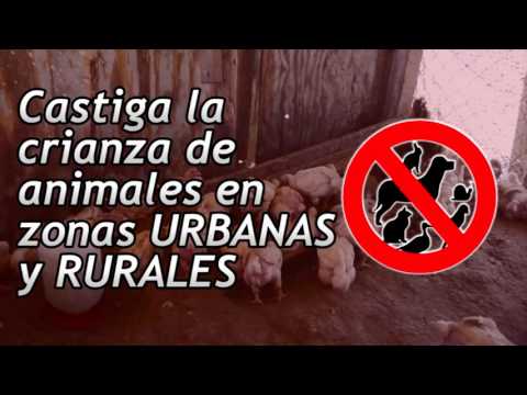 No a la Crianza de Animales
