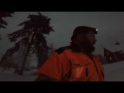 Ilves hyökkäsi onneksi ei tällä kertaa hevosen kimppuun 😨😱