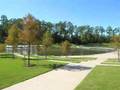 Experience The Woodlands, TX : Town Green Park ...