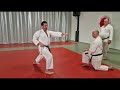 Chinte Bunkai