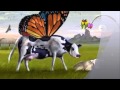 La vaca Mariposa "El Becerrito" Autor: SIMON DIAZ. interprete: MARIA VICTORIA MORILLO TARAZONA.