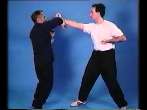 Wooden Dummy Technique Ip Chun Vol1