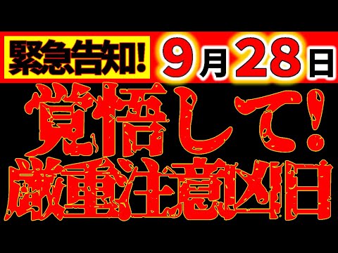 観葉植物のアブラムシ:本当に役立つもの トピックス