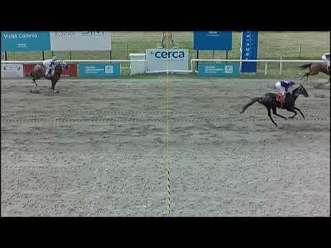 SINT COLONIA - 220918 c06 1° BRILLIANT DAY