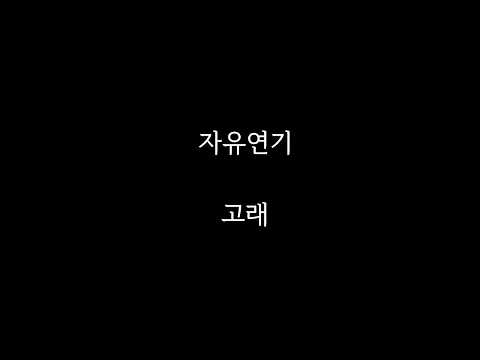 비디오 17