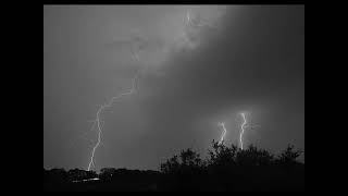 Wolfgang Press - Lisa the Passion