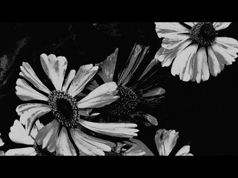 Концерт "S.A.B."/15 декабря/ЧАЙНЫЙ КЛУБ МОЙЧАЙ.РУ НА БАКУНИНСКОЙ, Москва