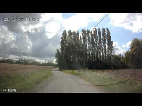 Dames Jeugd 1.16 Bellegem