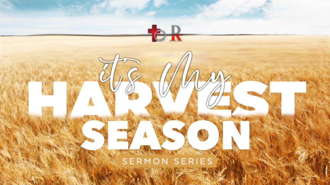 9. 'The Safety of Grace' Wed. 7pm