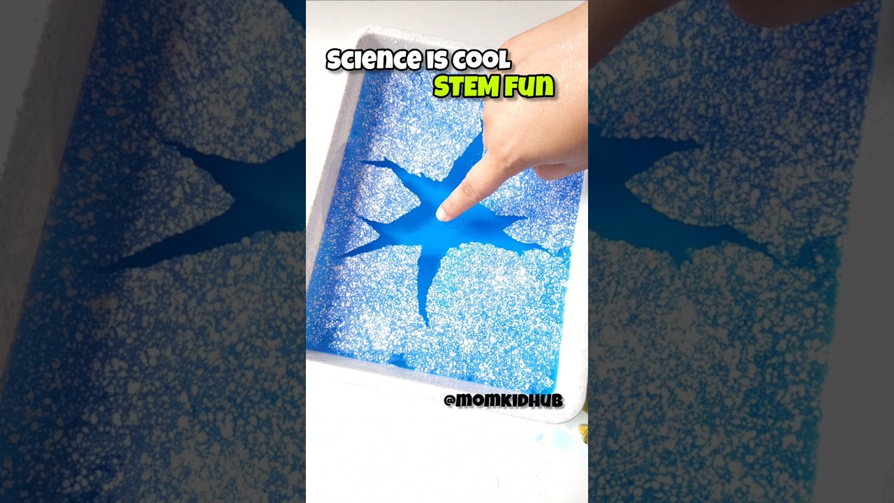 Easy STEM Activity At Home/ Fun Science Activity #stemforkids #stem #scienceathome #kidsactivities