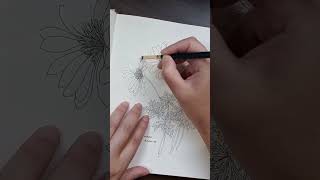 #wip The Flower Year Coloring Book, by Leila Duly