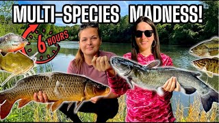 How Many Can We Catch in 6 Hours?