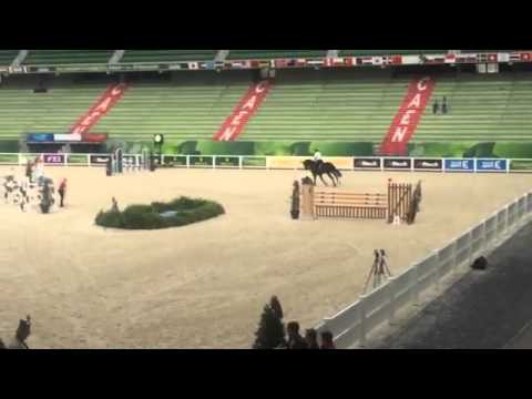 Dieter Köfler - 1. Training WEG 2014