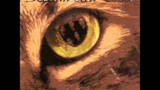 Time Space Warp   Balahibum Pooza