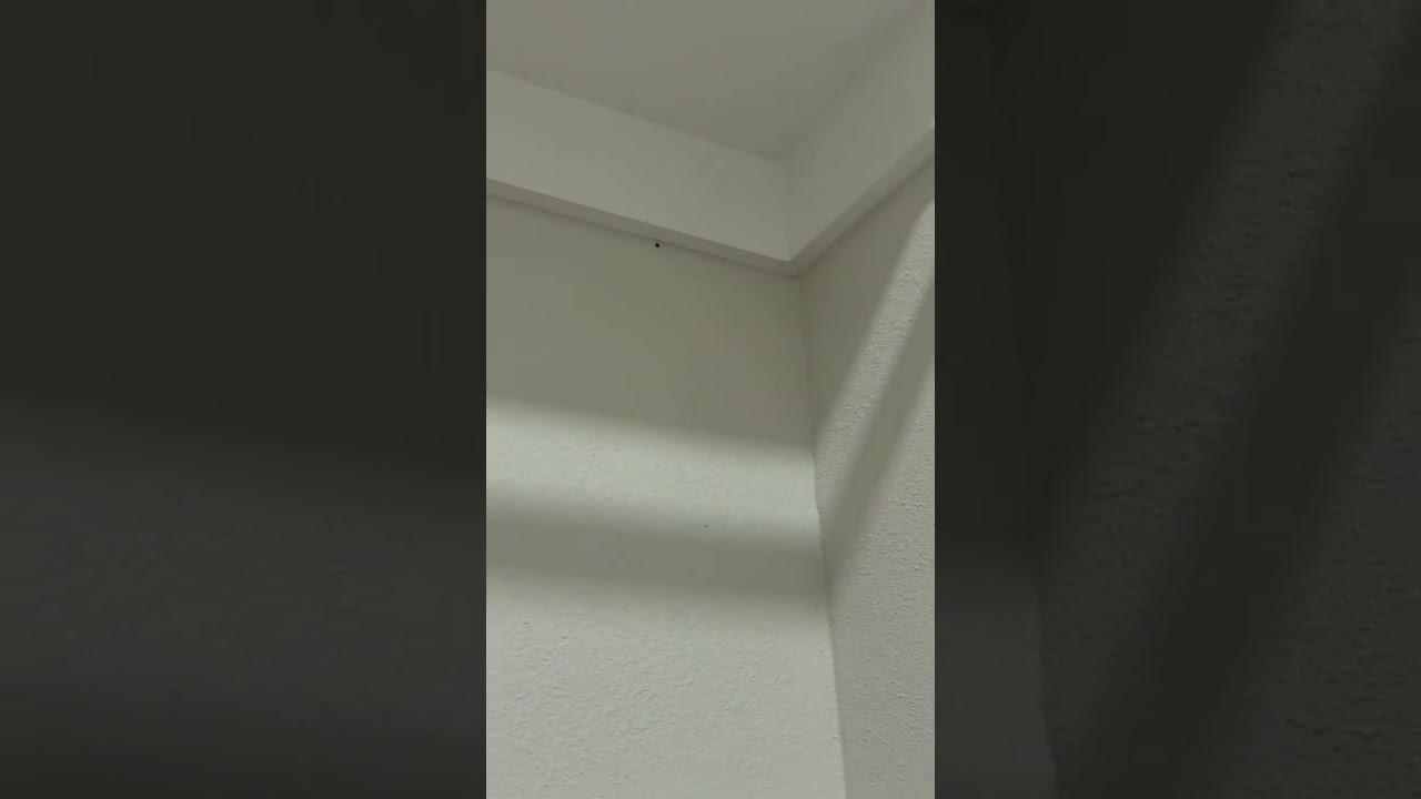 Gabriel video