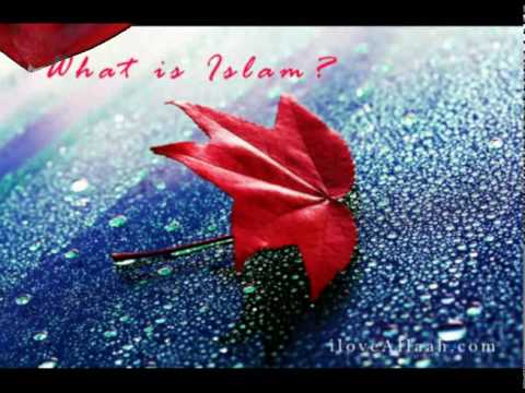 Respektimi i miqve të prinderve - Jusuf Gjevori