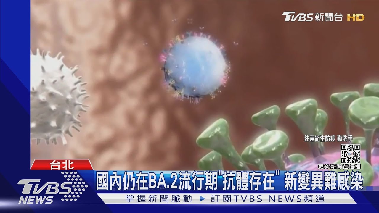 BA.4&5叩關本土是否大流行　黃立民：觀察幾週