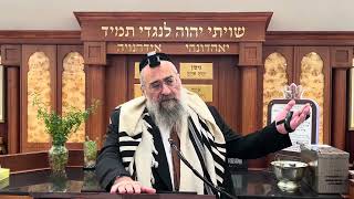 איך עושים הבדלה במוצאי שבת של תשעה באב (הרב יצחק ישראלי) - התמונה מוצגת ישירות מתוך אתר האינטרנט יוטיוב. זכויות היוצרים בתמונה שייכות ליוצרה. קישור קרדיט למקור התוכן נמצא בתוך דף הסרטון