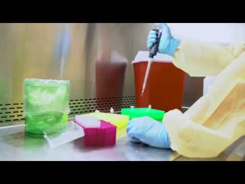 バイオセーフティキャビネットの安全な使い方 (How to safely use a biosafety cabinet)