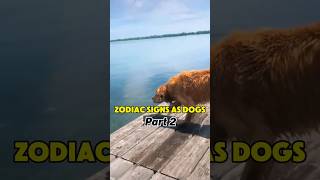 The zodiac Signs as funny Dogs (part 2) #astrology #cats #dogs