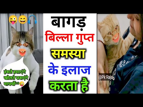 Bagad Billa Video #dob #bagadbilla #funny #trending #shorts #tiktok
