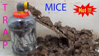 Mouse trap \ The best mousetrap in the world \ Homemade plastic water bottle for mouse trap