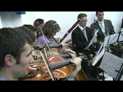 grup_instrumental_Congresul National Amicus Stupini 14-16 noiembrie 2008