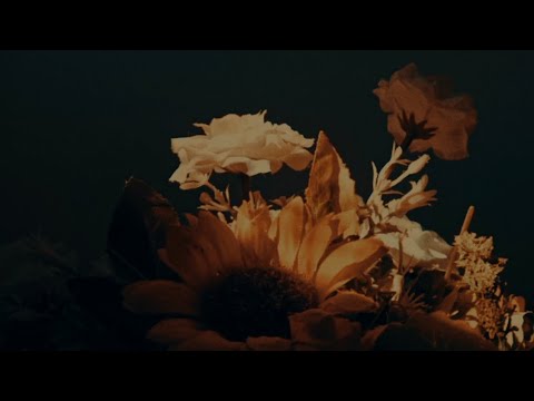 Bugs and Roots - Malayan Ka | Official Music Video
