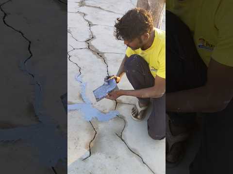 Dr.Fixit How to Use Crack Seal Paste How to Repair Wall Cracks In#wallrepair #crackrepair #drfixit